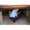 Free termite inspection