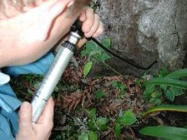 Bore scope equipment for termite inspection
