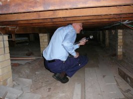 Termite inspection Caboolture