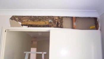Warner termite inspection