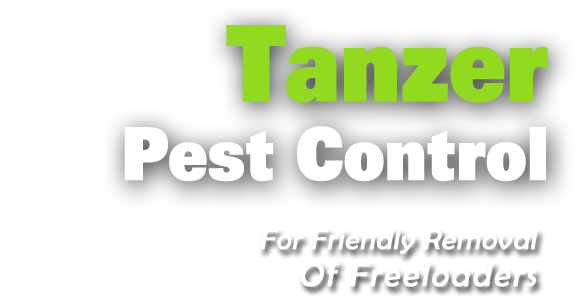 Tanzer Pest Control Brisbane and Caboolture